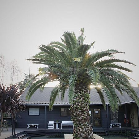 Hugo & Carters Backpackers & Motel Tauranga Bagian luar foto The pool at the hotel