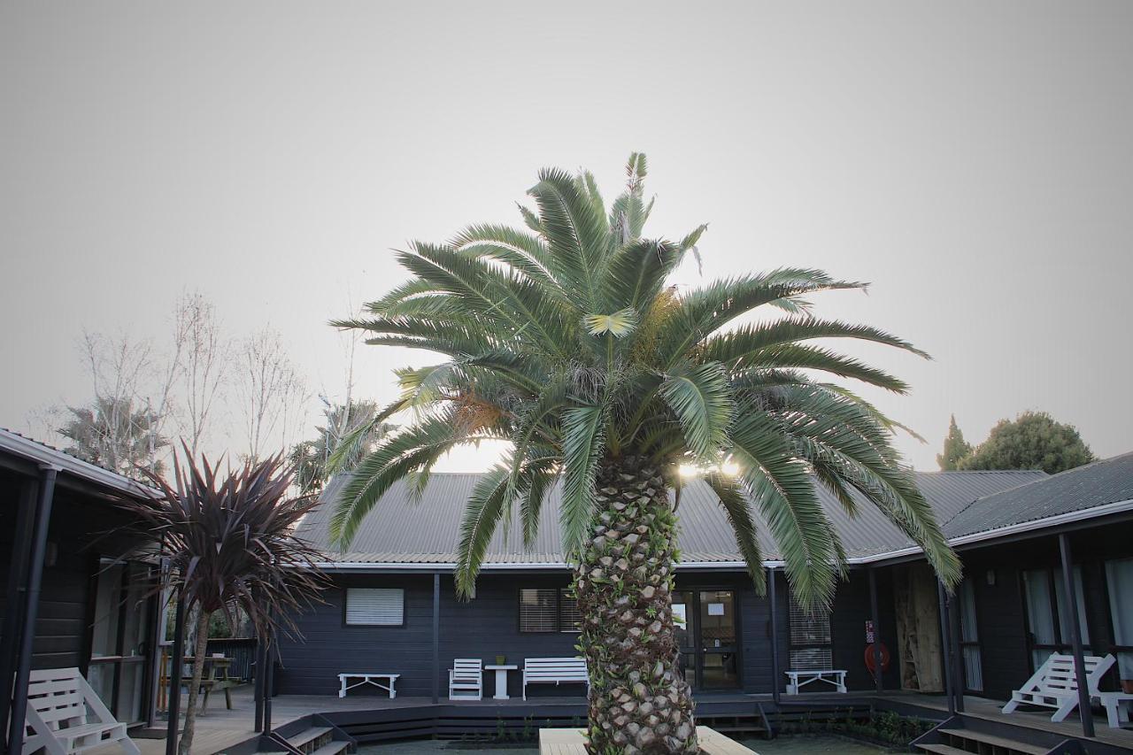 Hugo & Carters Backpackers & Motel Tauranga Bagian luar foto The pool at the hotel